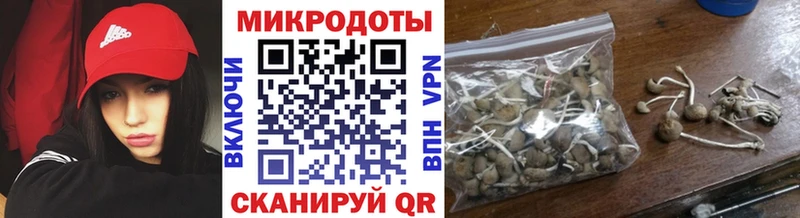 Галлюциногенные грибы Magic Shrooms  Набережные Челны 