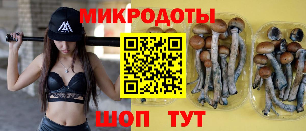 Псилоцибиновые грибы мухоморы Набережные Челны