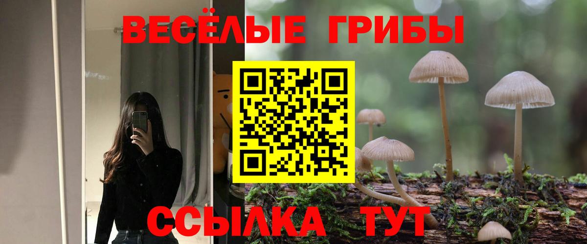 Набережные Челны  Галлюциногенные грибы MAGIC MUSHROOMS  купить наркотик  Вход с VPN 